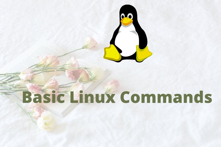 Basic linux commands